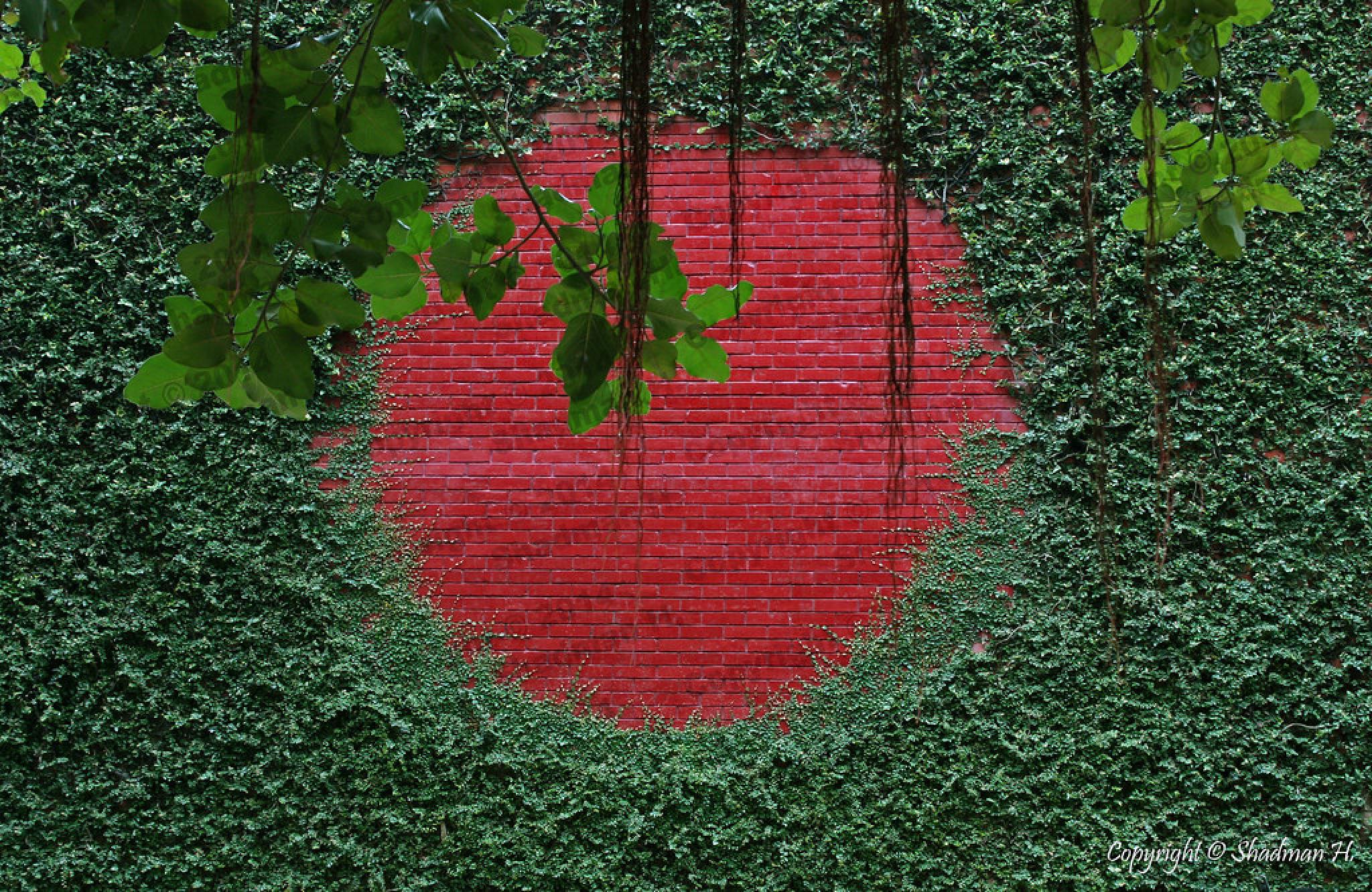Bangladesh